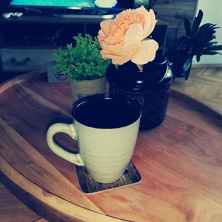 за гости во1 Διαμέρισμα